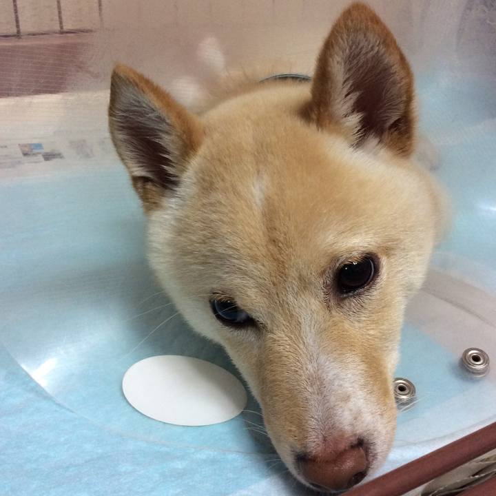 31317f51 35fa 4ed4 89f4 9efb411350b7