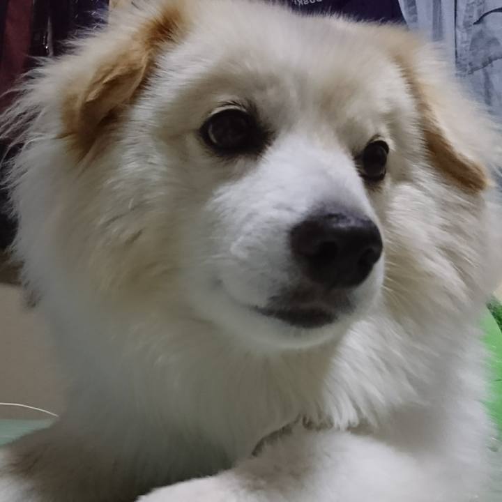 31318293 5374 451d a6aa 0f1175dcd26c