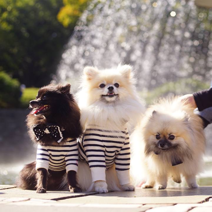 3131e8ed fe0c 4ed4 9547 727fea21bf98