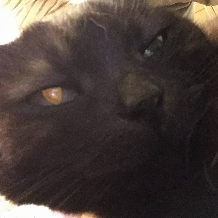 31320bc5 f212 4e70 a02b 000d56a2a165