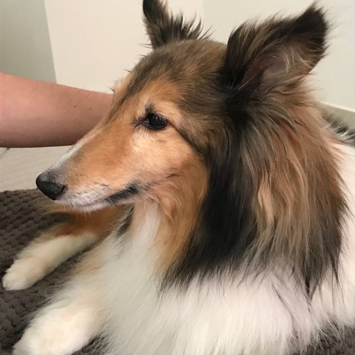 31320e30 ca7c 47d6 ad01 c216f058b038