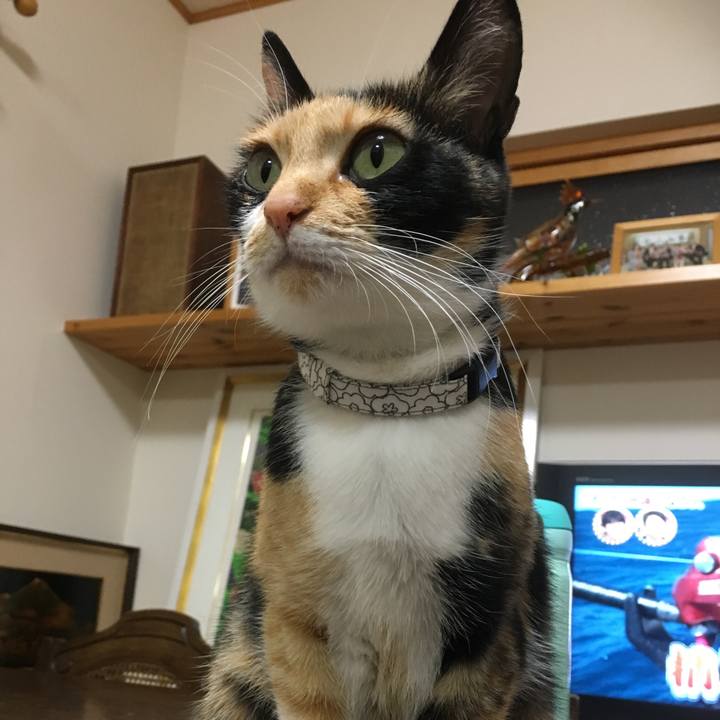 31327528 bb32 4e3b b6c0 d60822dac48e