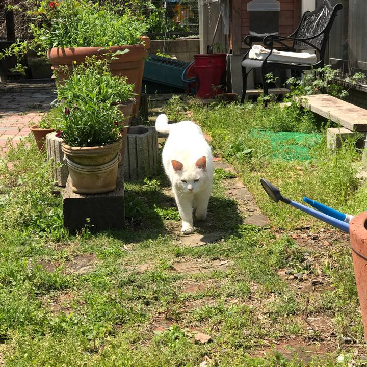 3132bae0 e219 4459 95e4 d8b31c360343