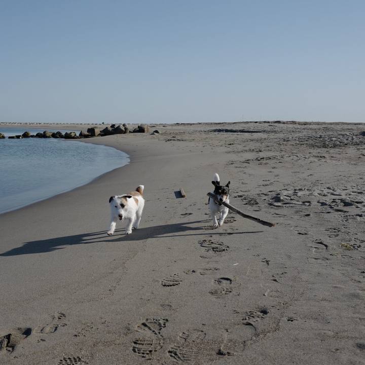 3132fad5 f42f 4d0b 8a33 cc84b740d11c