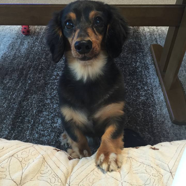 313373e3 ac4b 428a 8fd8 178768a9fc4b