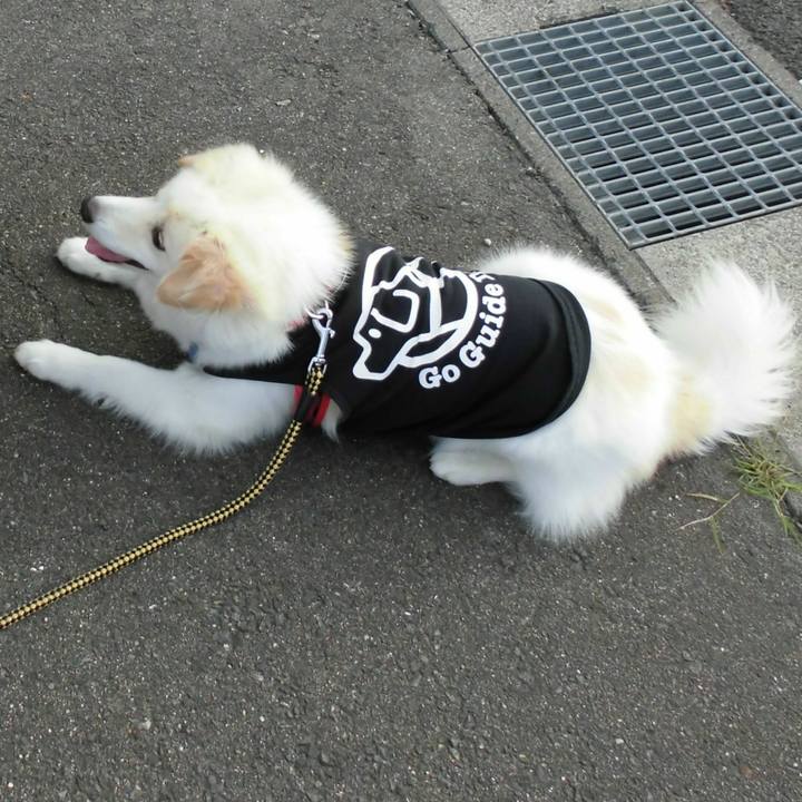 3133ab7f fc72 4b9d ad60 6ca279aa5c41