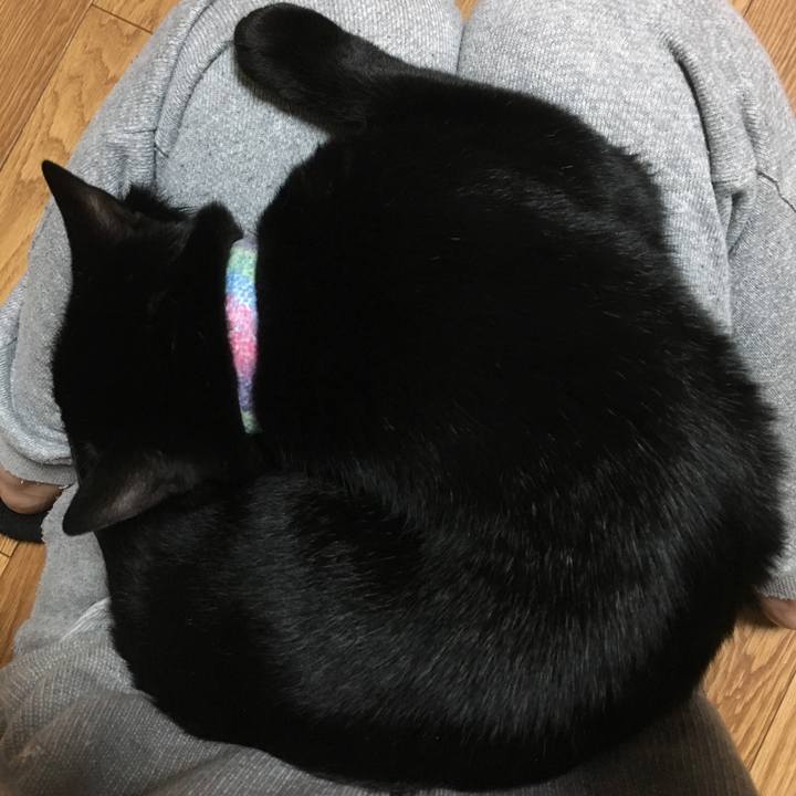 31341e03 c888 4f77 ba08 b49139991dc8