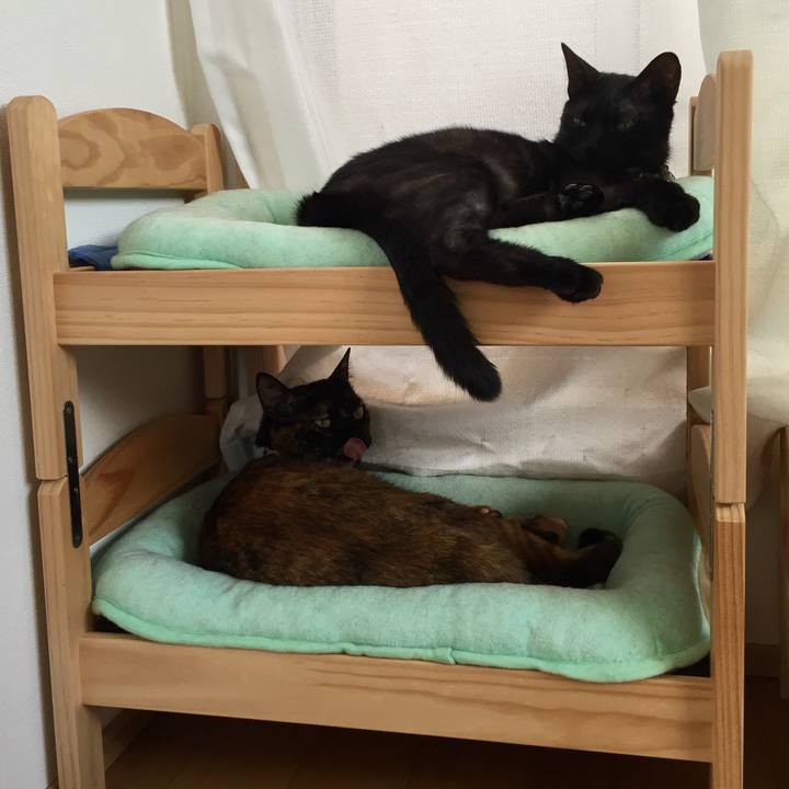 31346054 7360 41a7 96e5 3c66690d9e21