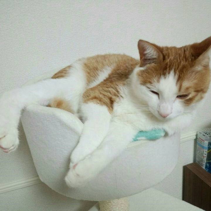 3134a5a3 a91f 4717 ab8f 97151486164a