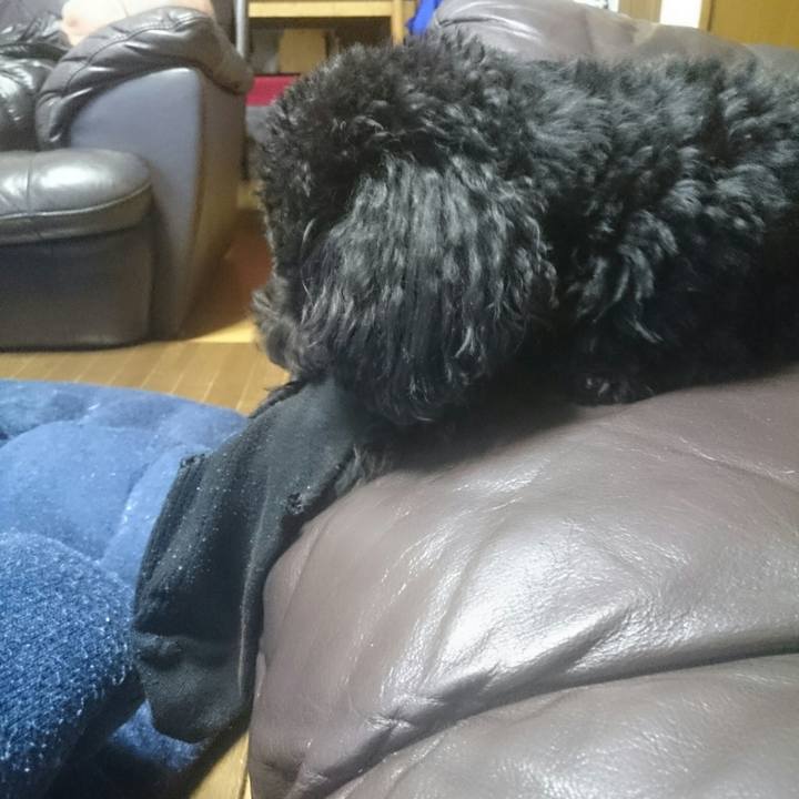 3135336c 2b29 46df b698 8c865552bb88