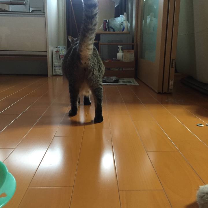 3135d5bd 478b 46ea 912d 7db44ddc3926