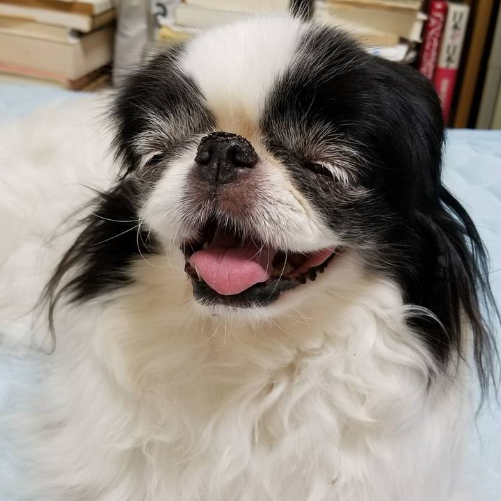 313759e8 fc54 4f0a 90c0 a177710ef8df