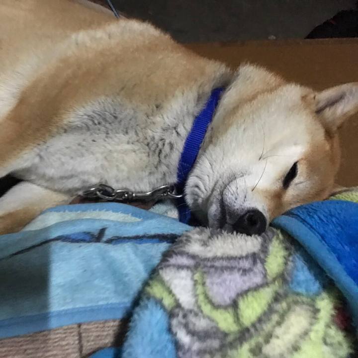 3137f063 034d 4133 8c7d 48ff3a9a25a2