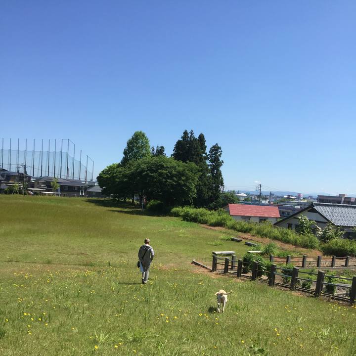 31380234 115f 4a98 a4dd 554c3669eb25