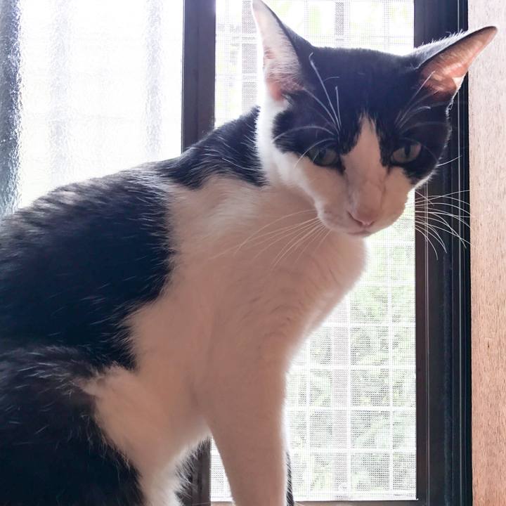 31381e5b 3c01 47a4 b4e6 7f5c21b7b1d1