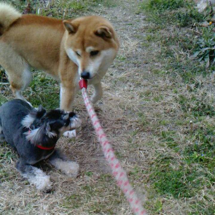 3138244c 1cad 4843 9051 61e761878b1e