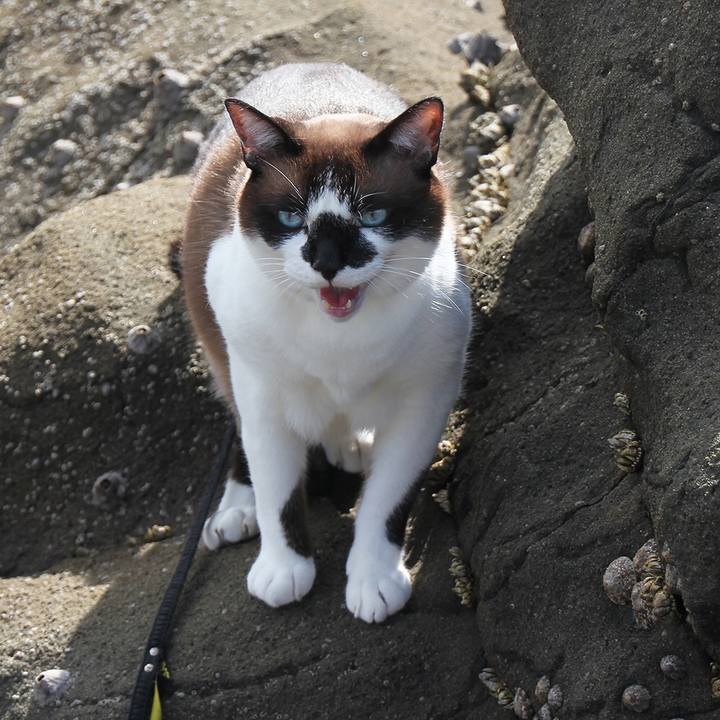 3138b9bf 77d9 4eb5 b067 3d44fb68583e