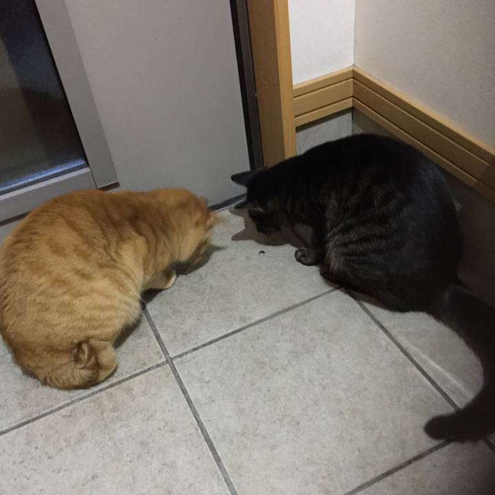 3139ef64 81b1 497e b689 b36f94a9b378