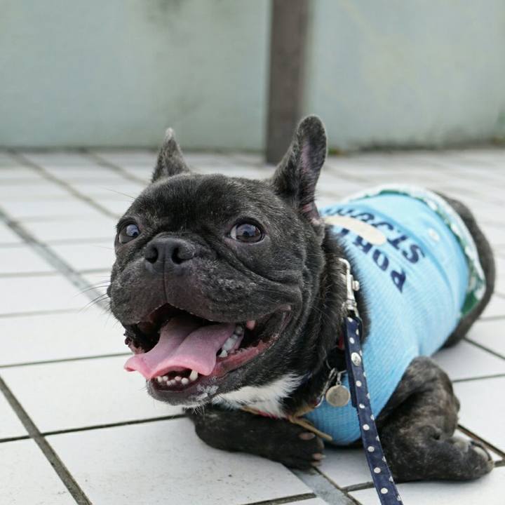 313b86ef 5053 420c bbe3 7219fd1da8d4