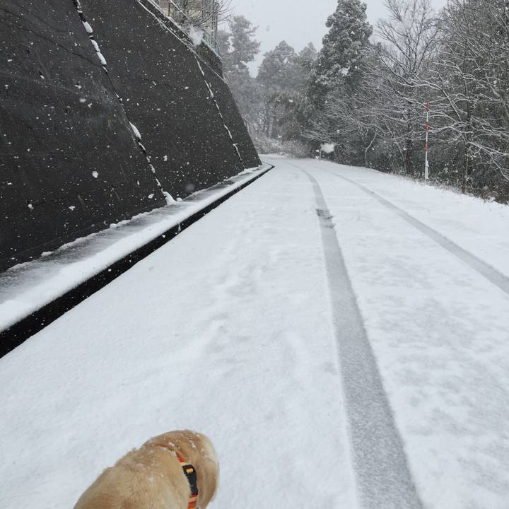 313baa29 0570 474f a636 b1f9674534d2