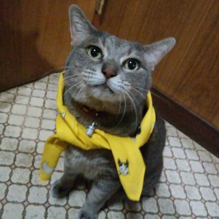 313bb9ce 0550 42d1 a1f2 b51e9add8559