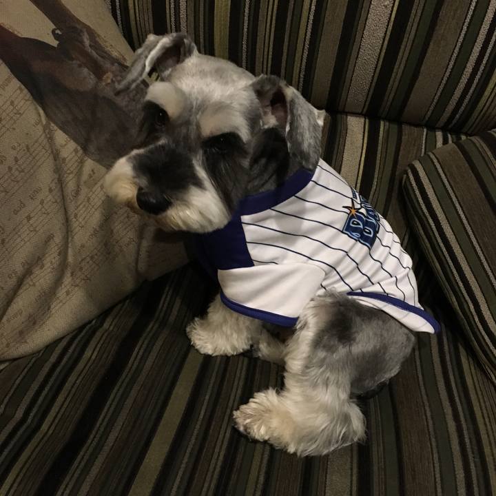 313bf450 0584 4437 bc94 fd5e37f19899