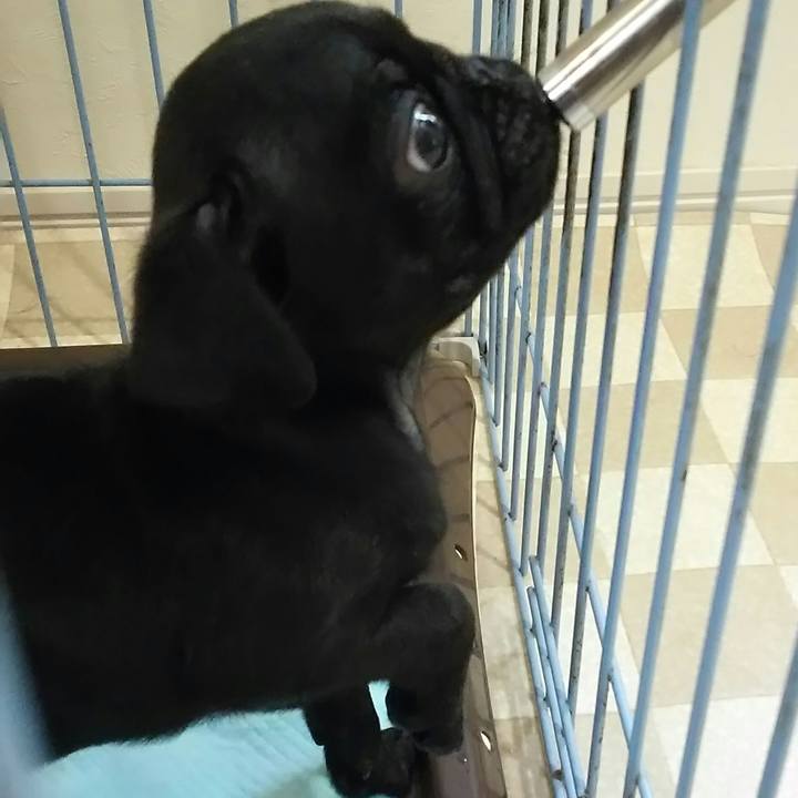 313c5be9 d123 432e 86b1 37e0618b4f24