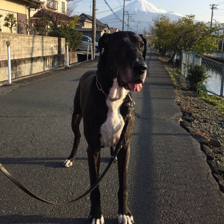 313cc97e d230 4c4e 8947 8f2719c3ec0a