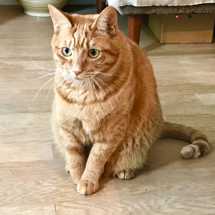 313d0220 4714 4905 9af7 3820b9f188e2