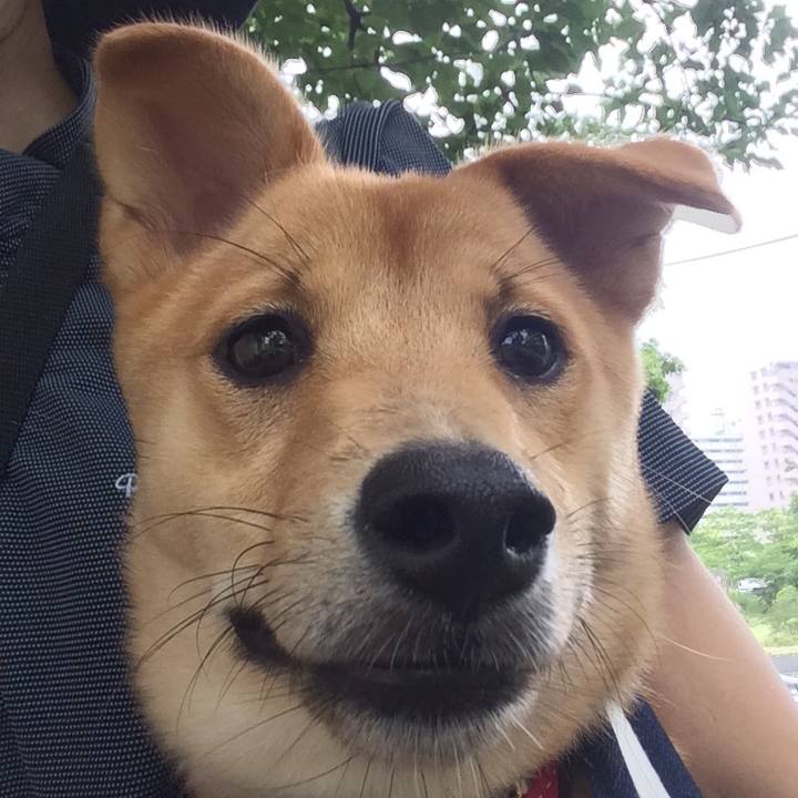 313d6616 82be 4dc2 8d8d c2b2455b4de3