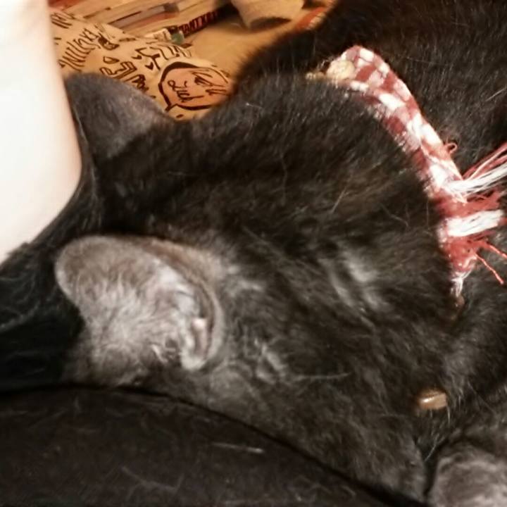 313d8476 4318 42bd b042 06329f7f04e0