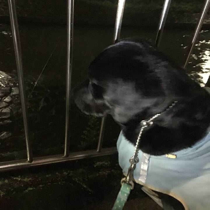 313dacd7 84aa 4bf2 b6e1 9f50a956e6e1