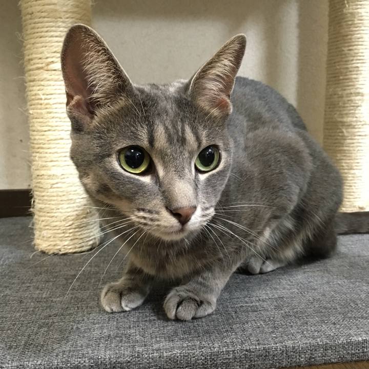 313dda87 97eb 4993 952a 3890fe8b67f9