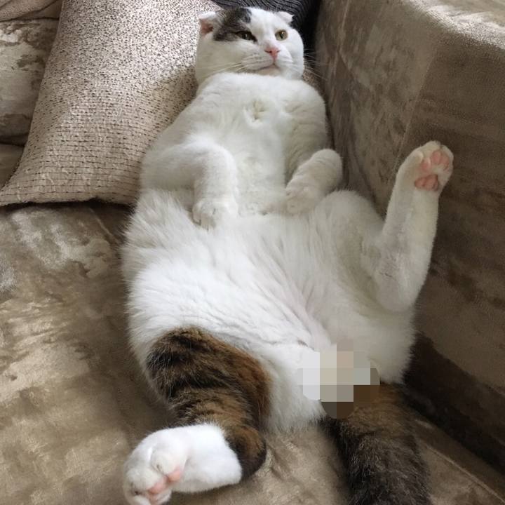 313e0e99 8222 4e9f 8ff2 574ad86e0441