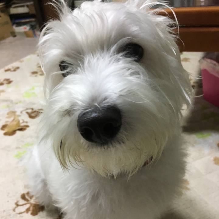 313e14c3 a86f 4a45 8306 9533476a49a9