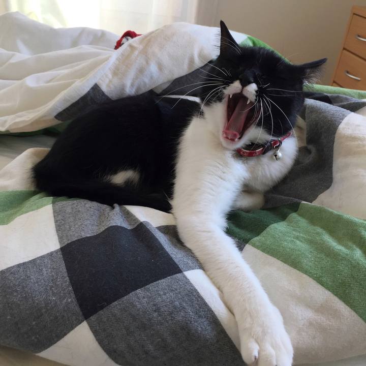 313e3543 0e05 450b b873 ed3c9b2bac9f