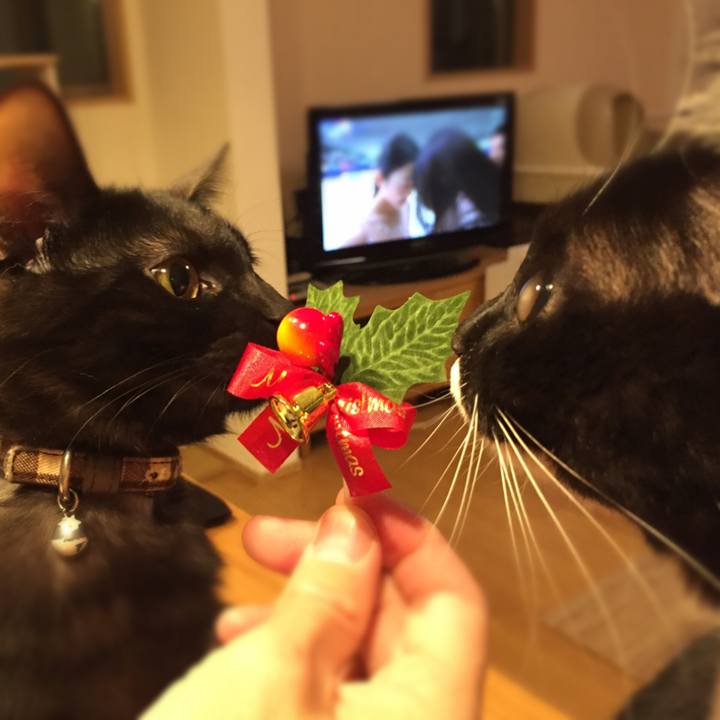 313e6276 8824 4c21 a6c6 395c8c7fc366