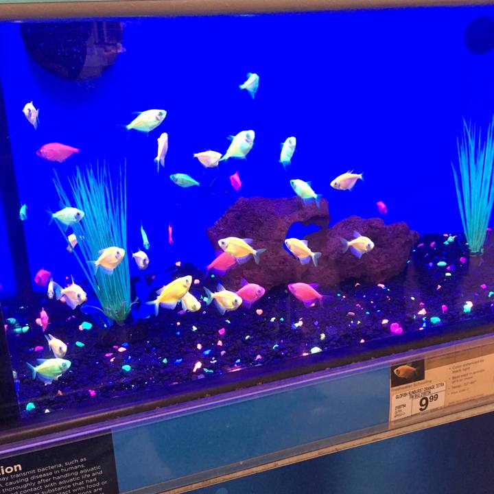 313e62e1 271a 4f6a 8624 5e87e24d93e5