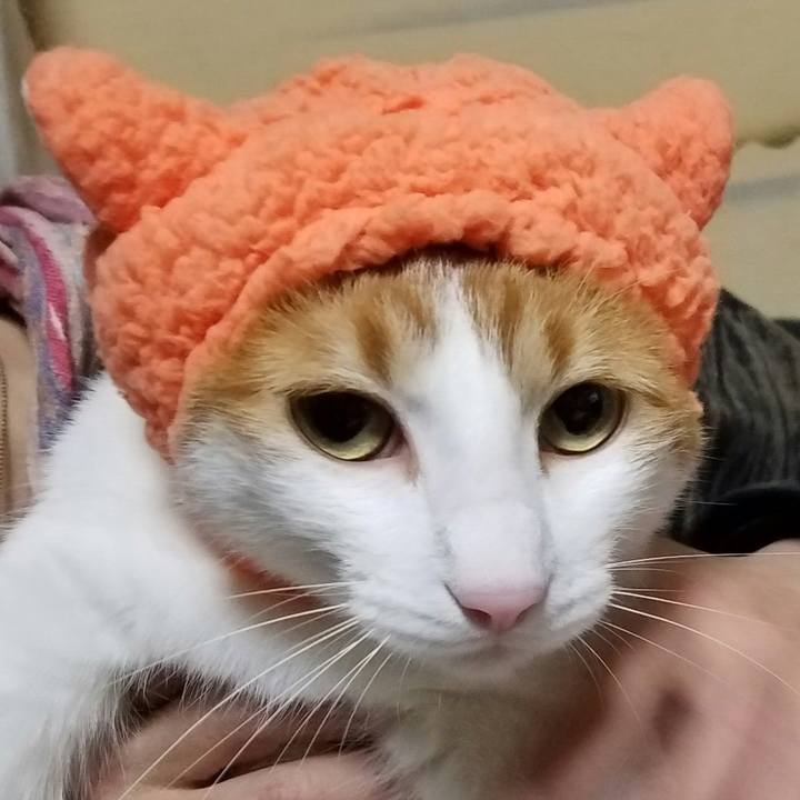 313f1a91 e272 469a 842c 00f36f44f108