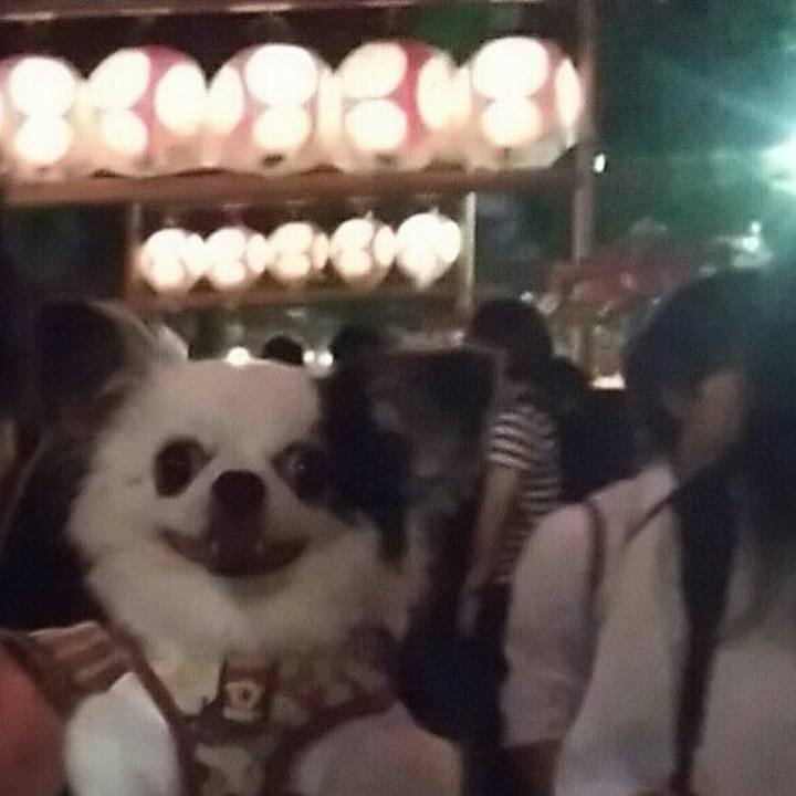 313f4711 ef7d 4f56 a460 d7e8a03283f0