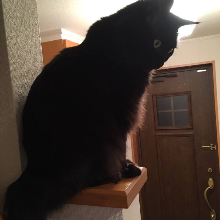 313f7eaa 77a6 4fb3 b49d 8d322add3dae