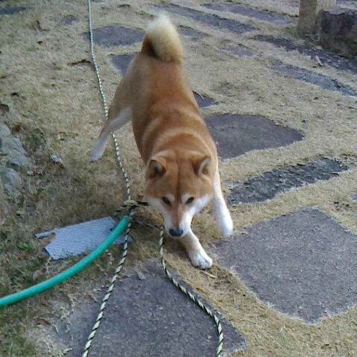 313f8891 41e3 4f01 9bde 3e1c81c9bd94