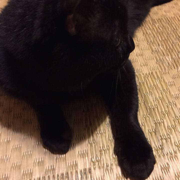 313fe178 117b 46a7 93ac f03fd6876a81