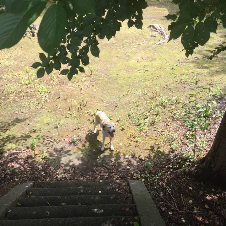 31407eed 0fcd 4c71 92cb 0c000b90a5c7