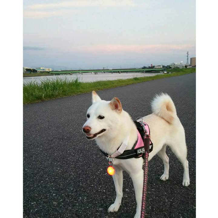 31409ec4 a19a 47bd affc 69fa8597aa37