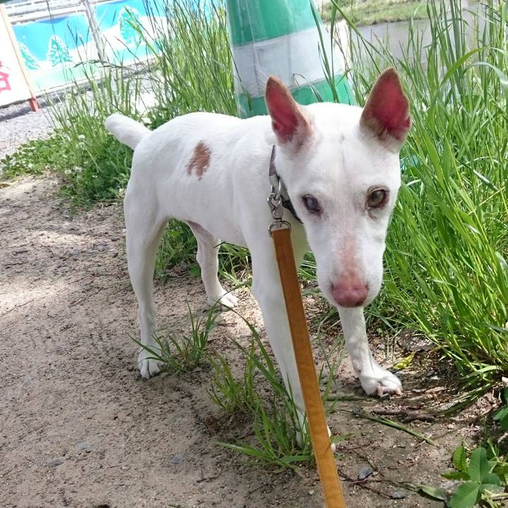 3140c84d ea20 4d04 bcb6 021345251af8