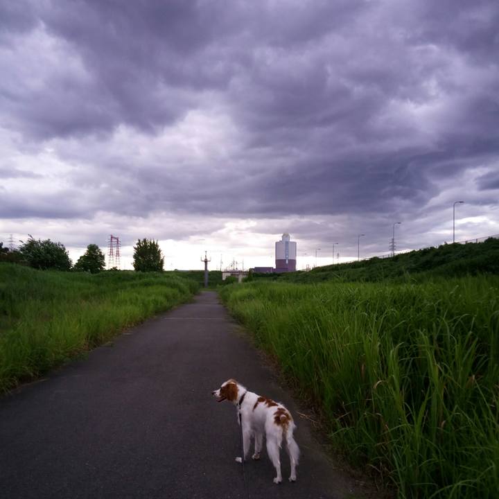 3140e7c1 ad4b 43d5 8850 ab11ab8a8c22