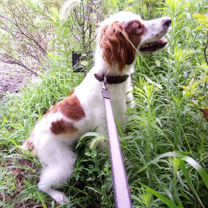 314101bc 6df8 4328 8e73 05c005ee423d