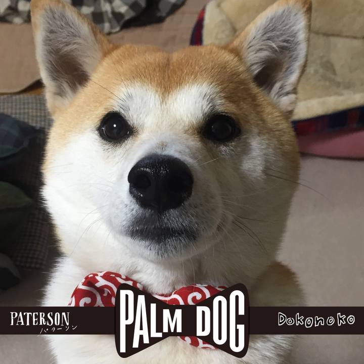 314139f9 1a7f 404f 845f 61906dd4f786