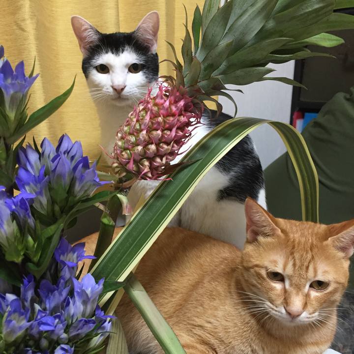 31415ca7 261c 4c89 8e89 07a259449e78